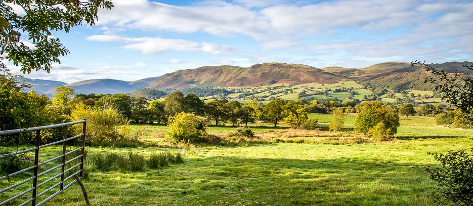 Looking back from the Lorton path towards Low Fell (andrewswalks.co.uk)